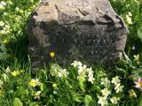 image of grave number 538401